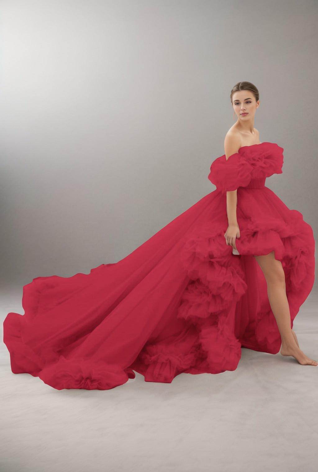 A-Line Court Train Tulle Prom Dress CS0406