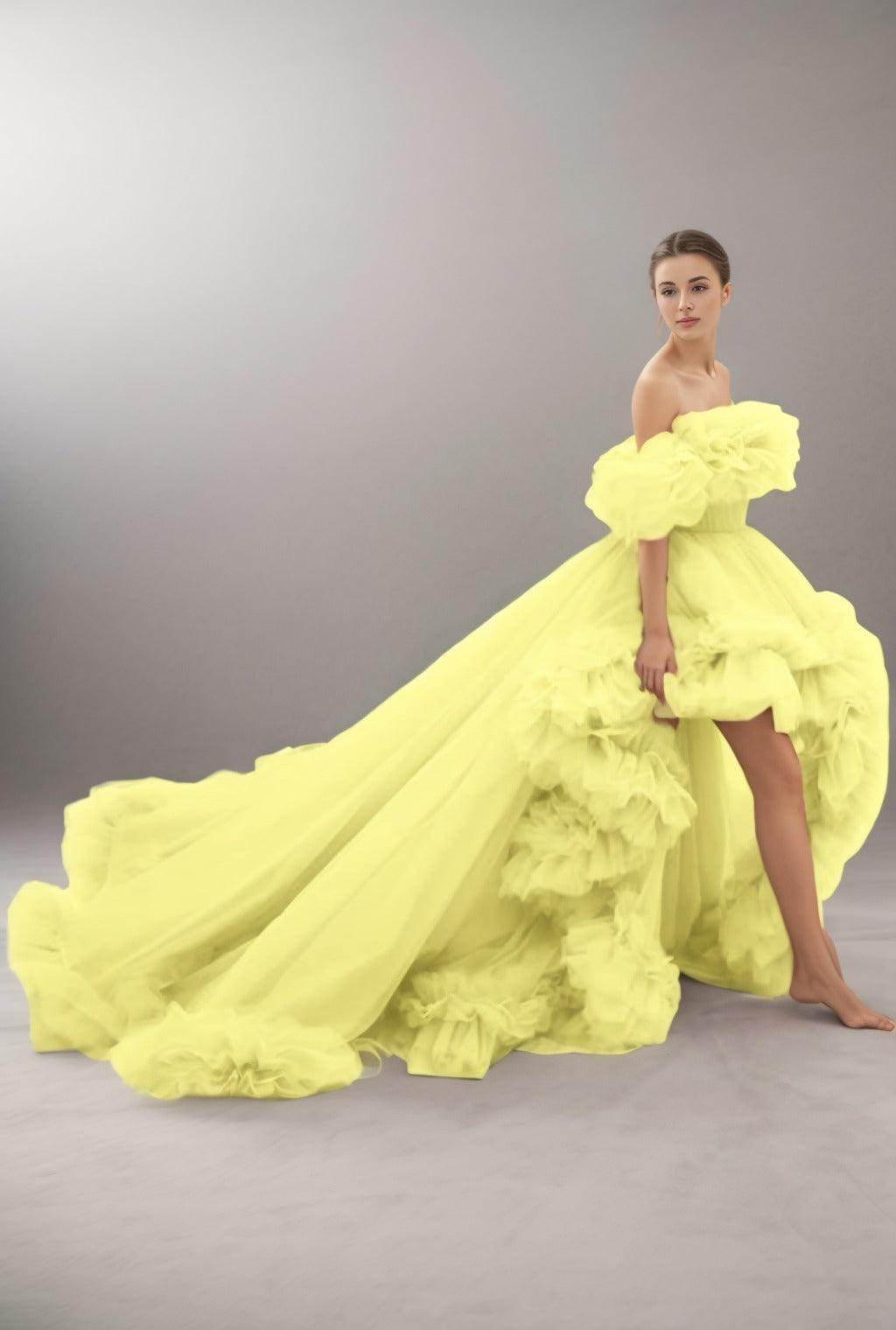 A-Line Court Train Tulle Prom Dress CS0406