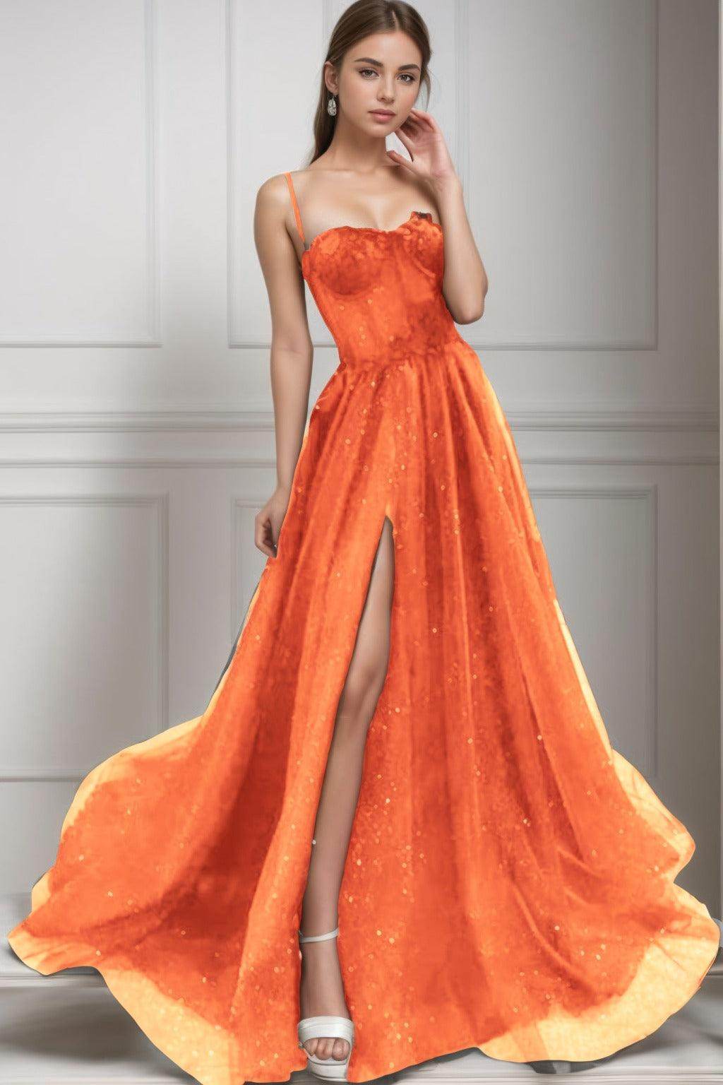 A-Line Sweep-Brush Train Tulle Prom Dress CS0439