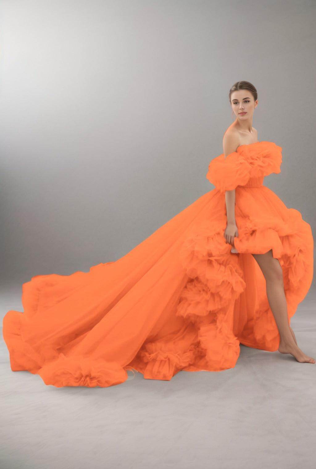 A-Line Court Train Tulle Prom Dress CS0406