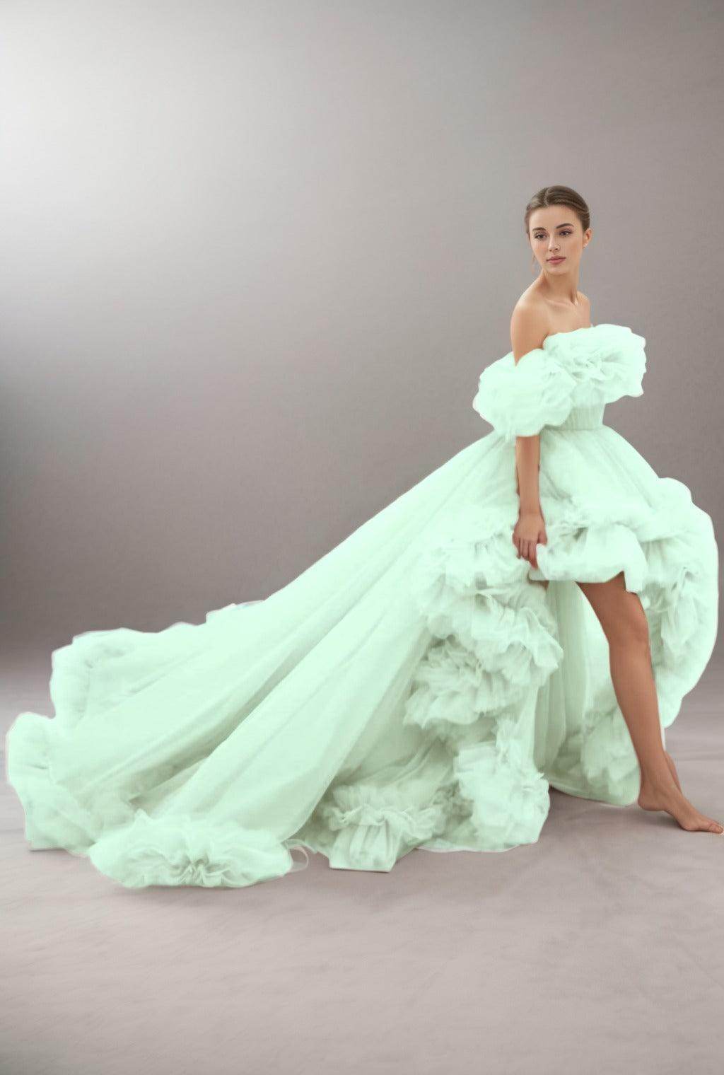 A-Line Court Train Tulle Prom Dress CS0406
