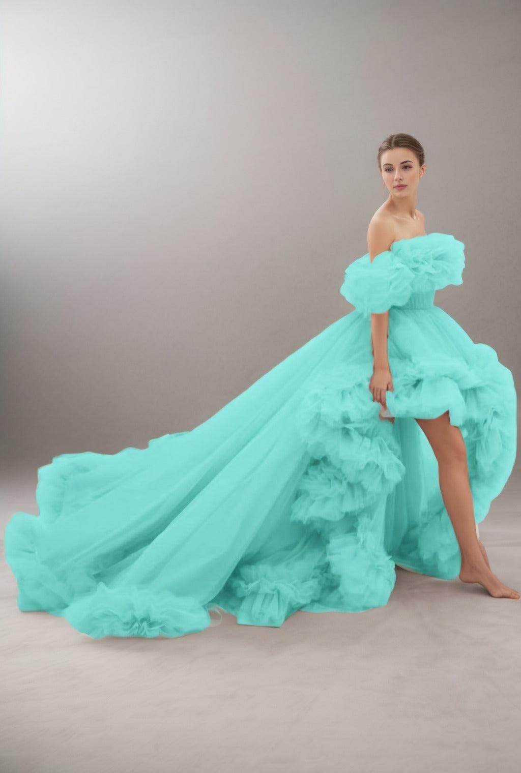 A-Line Court Train Tulle Prom Dress CS0406