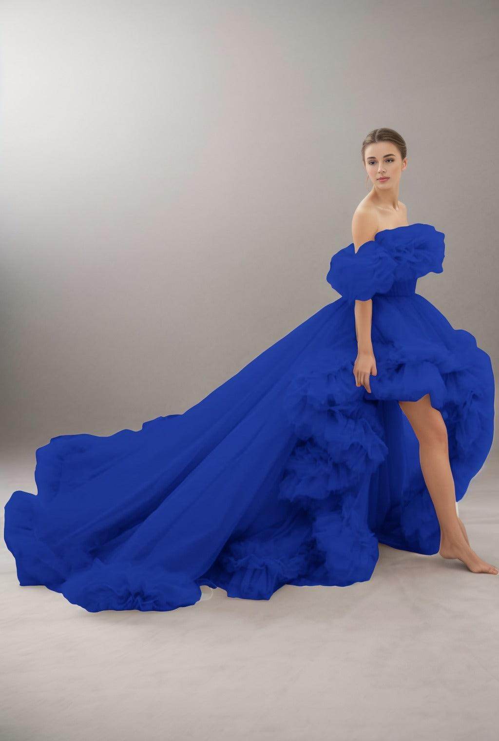 A-Line Court Train Tulle Prom Dress CS0406