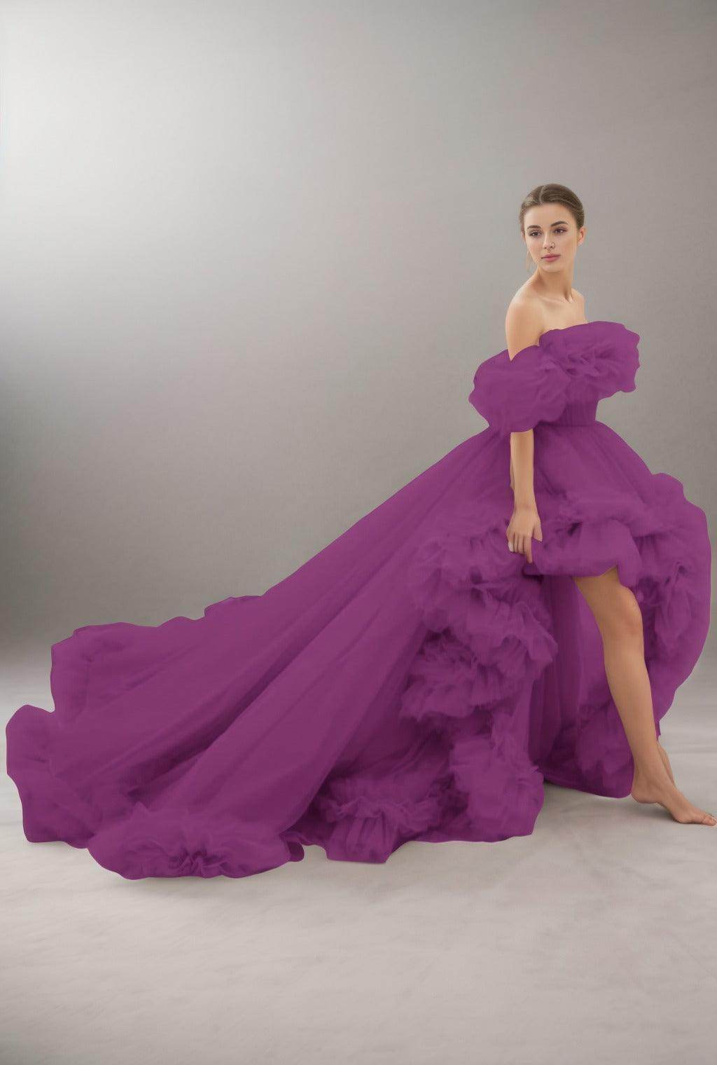 A-Line Court Train Tulle Prom Dress CS0406