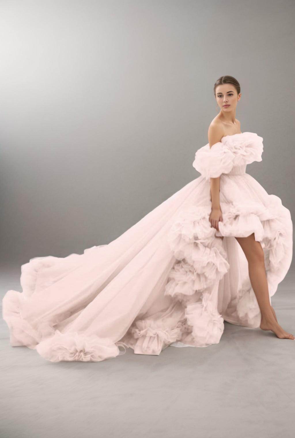 A-Line Court Train Tulle Prom Dress CS0406