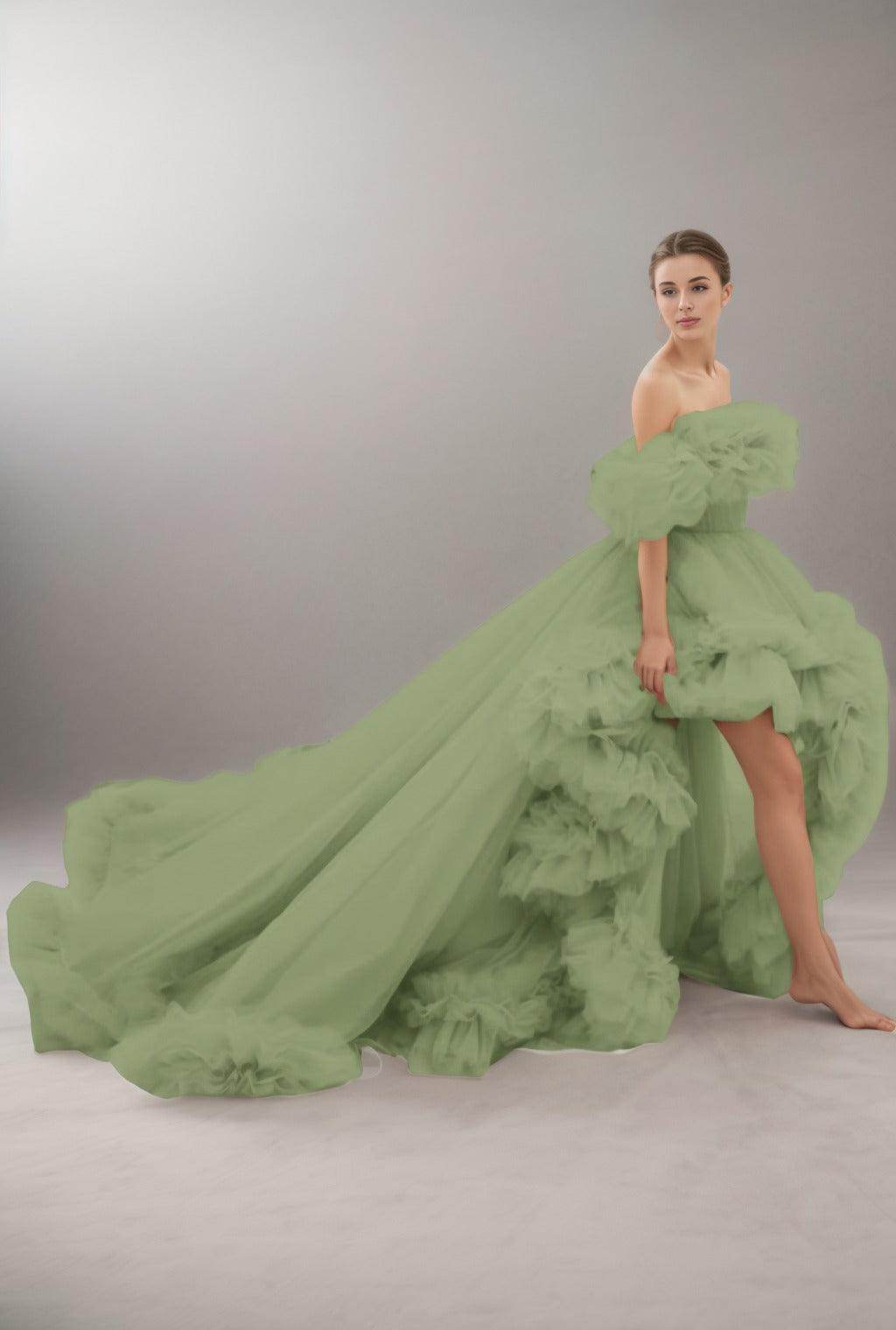 A-Line Court Train Tulle Prom Dress CS0406