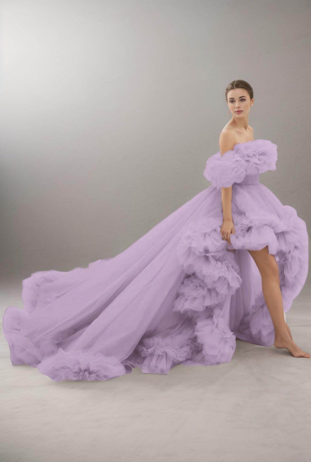 A-Line Court Train Tulle Prom Dress CS0406