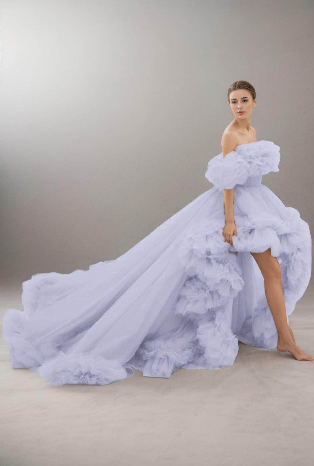 A-Line Court Train Tulle Prom Dress CS0406