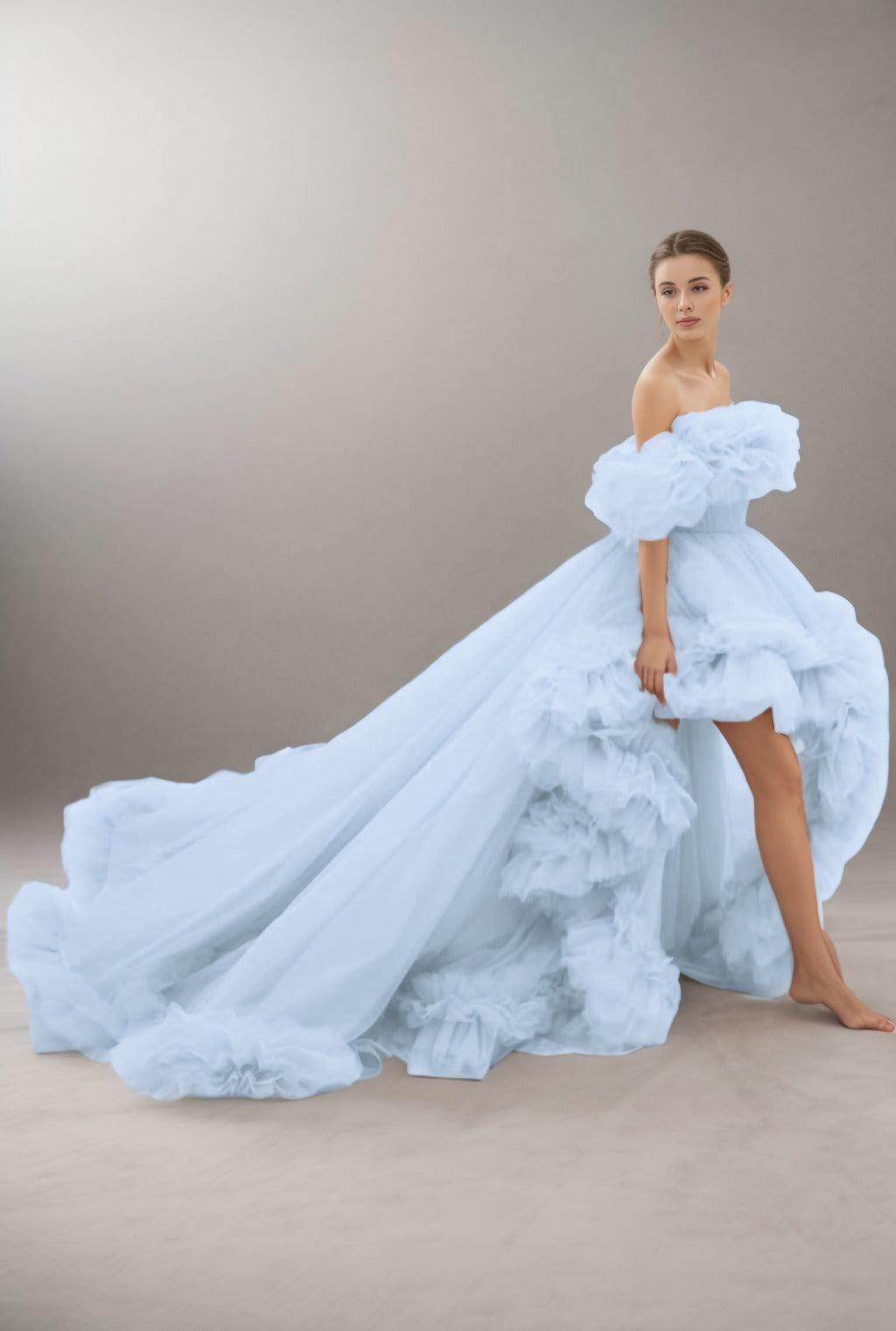 A-Line Court Train Tulle Prom Dress CS0406