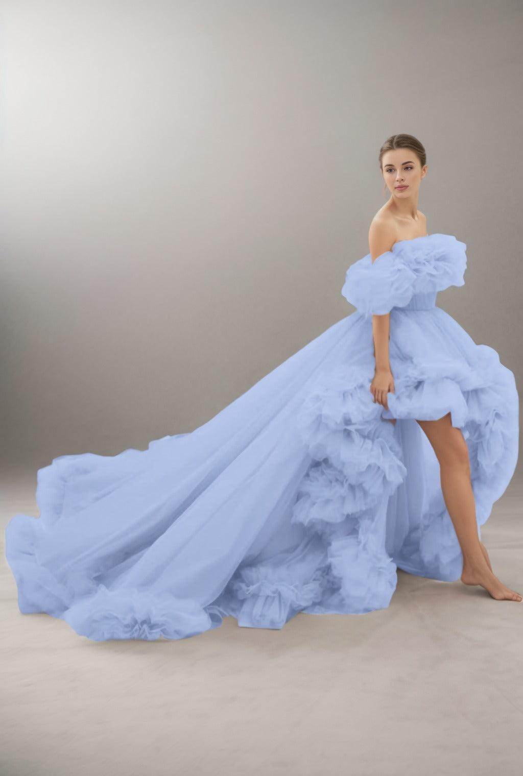 A-Line Court Train Tulle Prom Dress CS0406