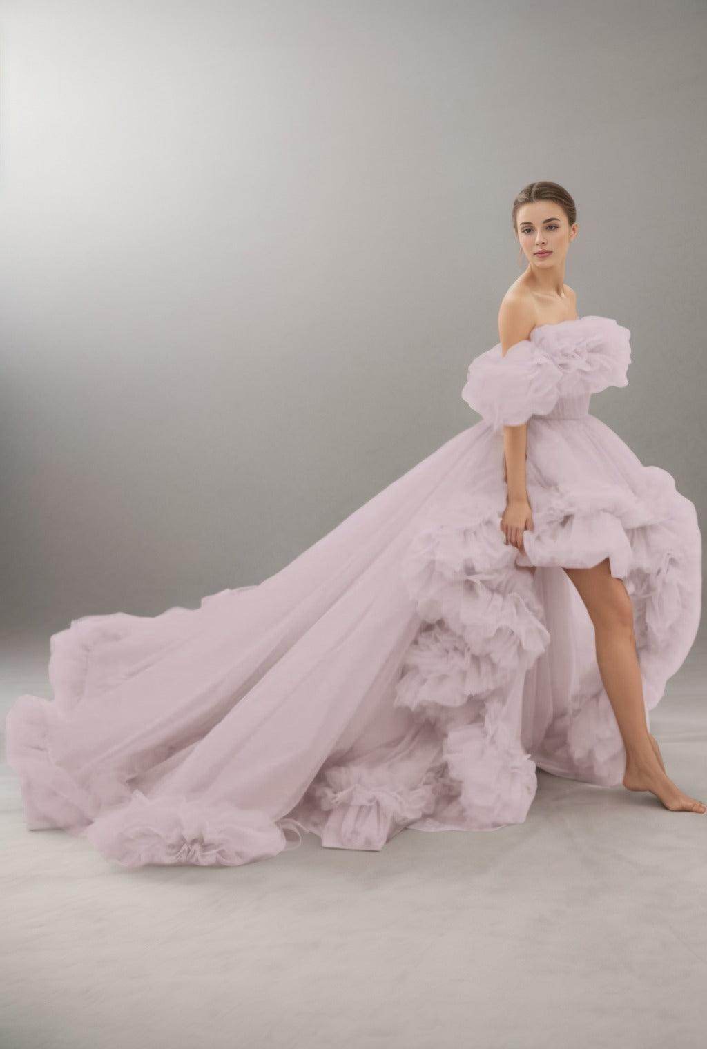 A-Line Court Train Tulle Prom Dress CS0406