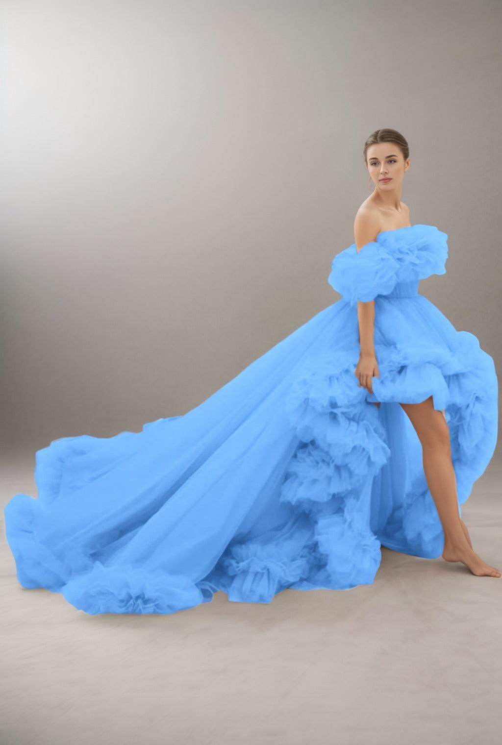 A-Line Court Train Tulle Prom Dress CS0406