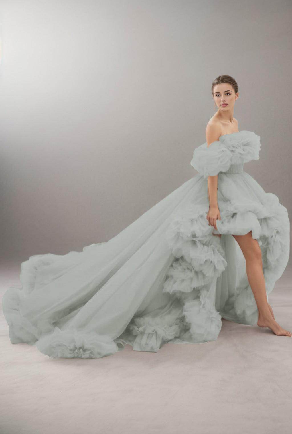 A-Line Court Train Tulle Prom Dress CS0406