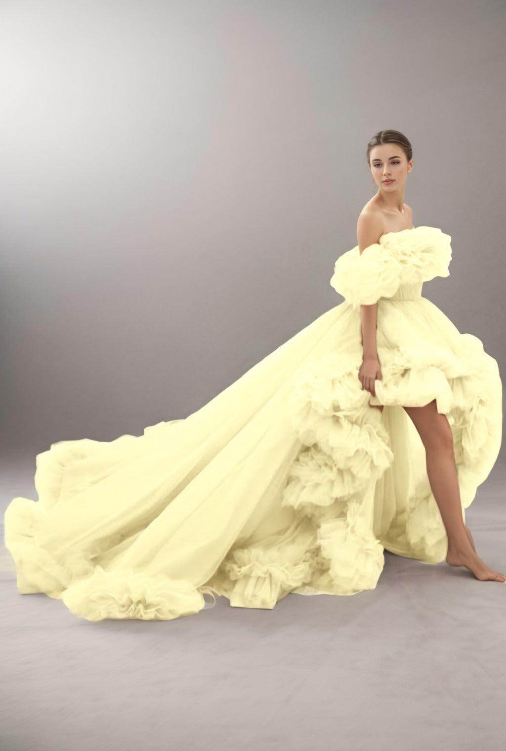 A-Line Court Train Tulle Prom Dress CS0406