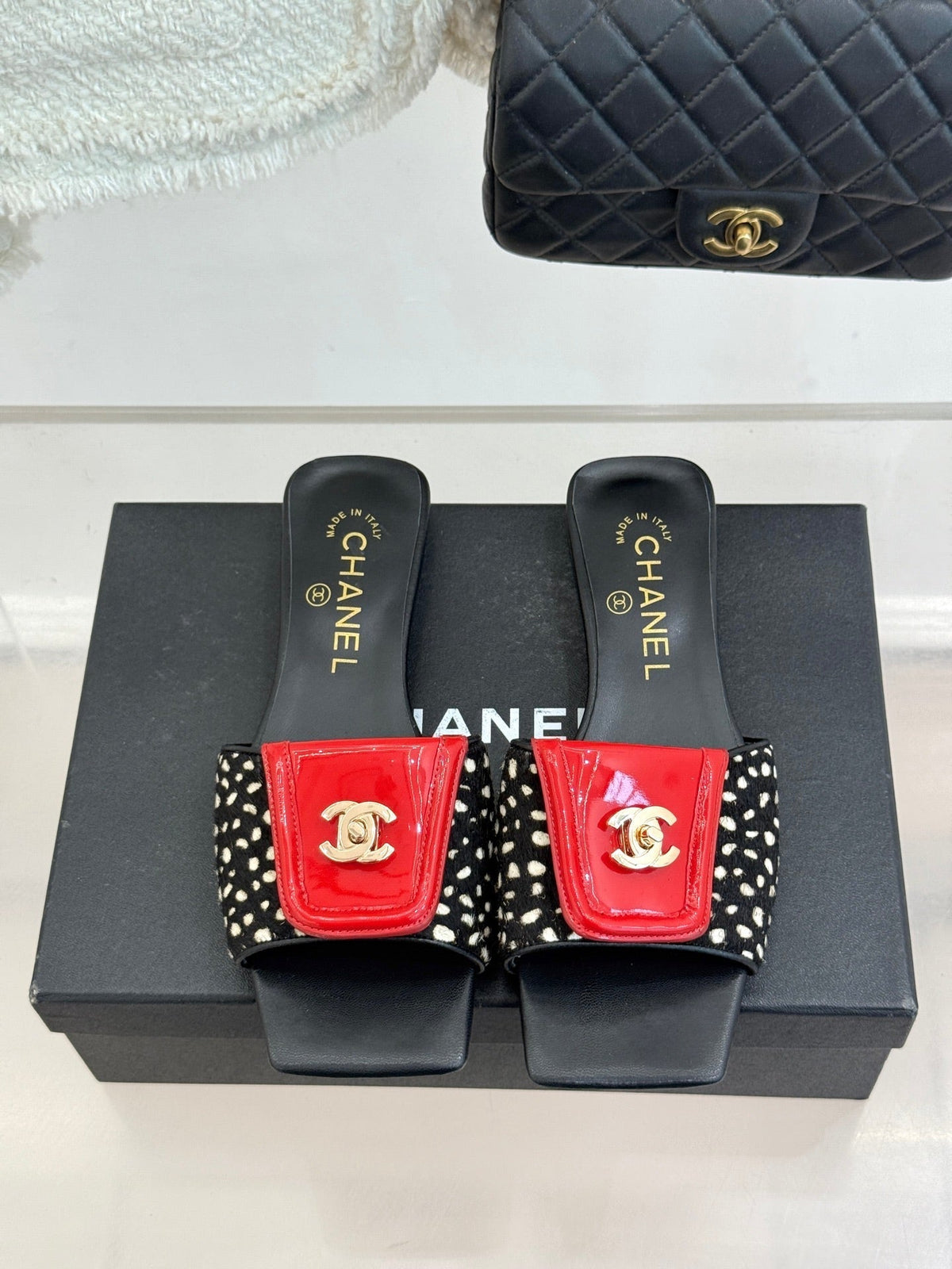 CC 26 Buckle Square Toe Slippers Black in Horse hair 803182