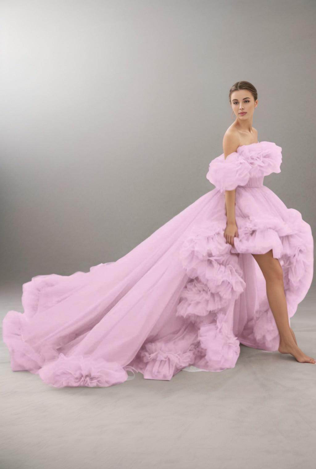 A-Line Court Train Tulle Prom Dress CS0406