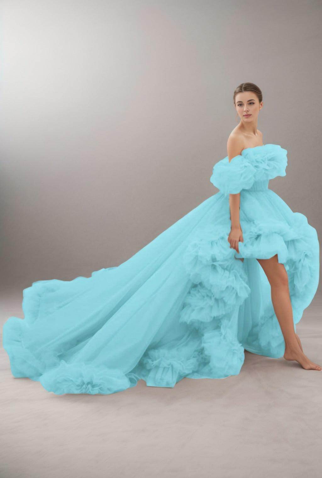 A-Line Court Train Tulle Prom Dress CS0406