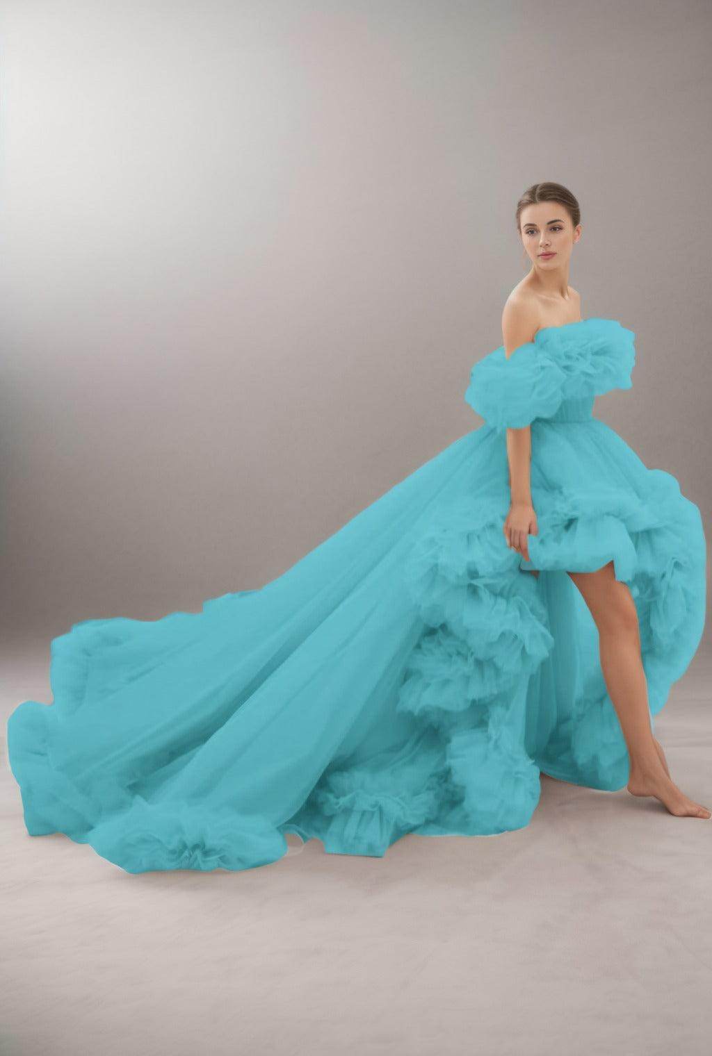 A-Line Court Train Tulle Prom Dress CS0406