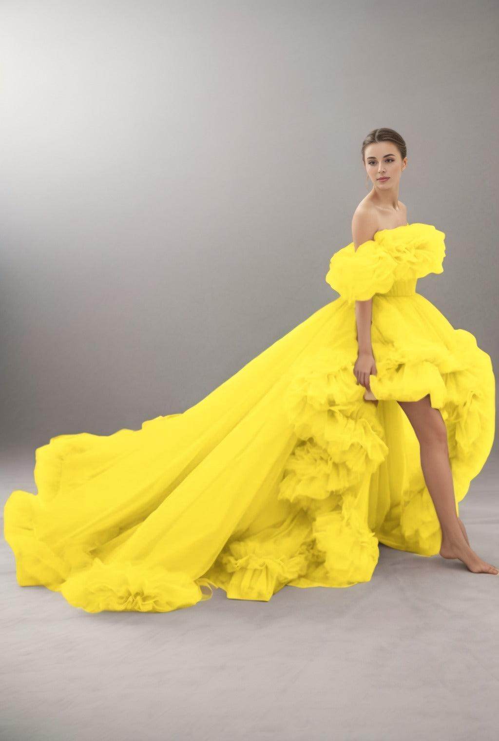 A-Line Court Train Tulle Prom Dress CS0406