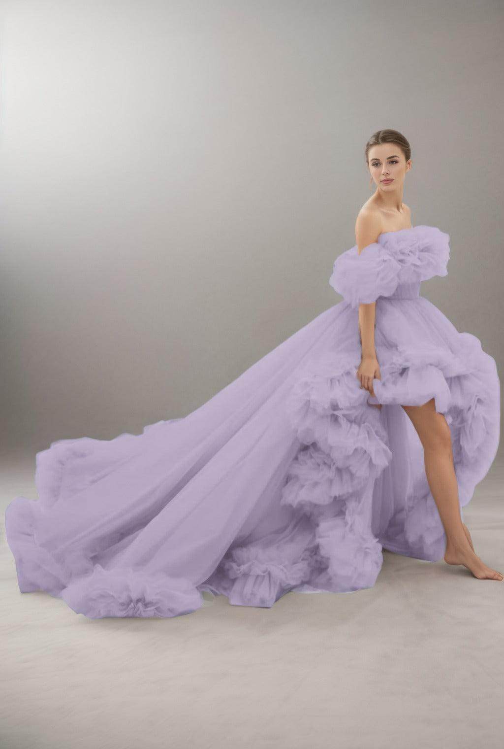 A-Line Court Train Tulle Prom Dress CS0406