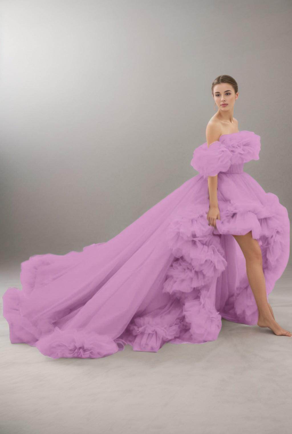 A-Line Court Train Tulle Prom Dress CS0406