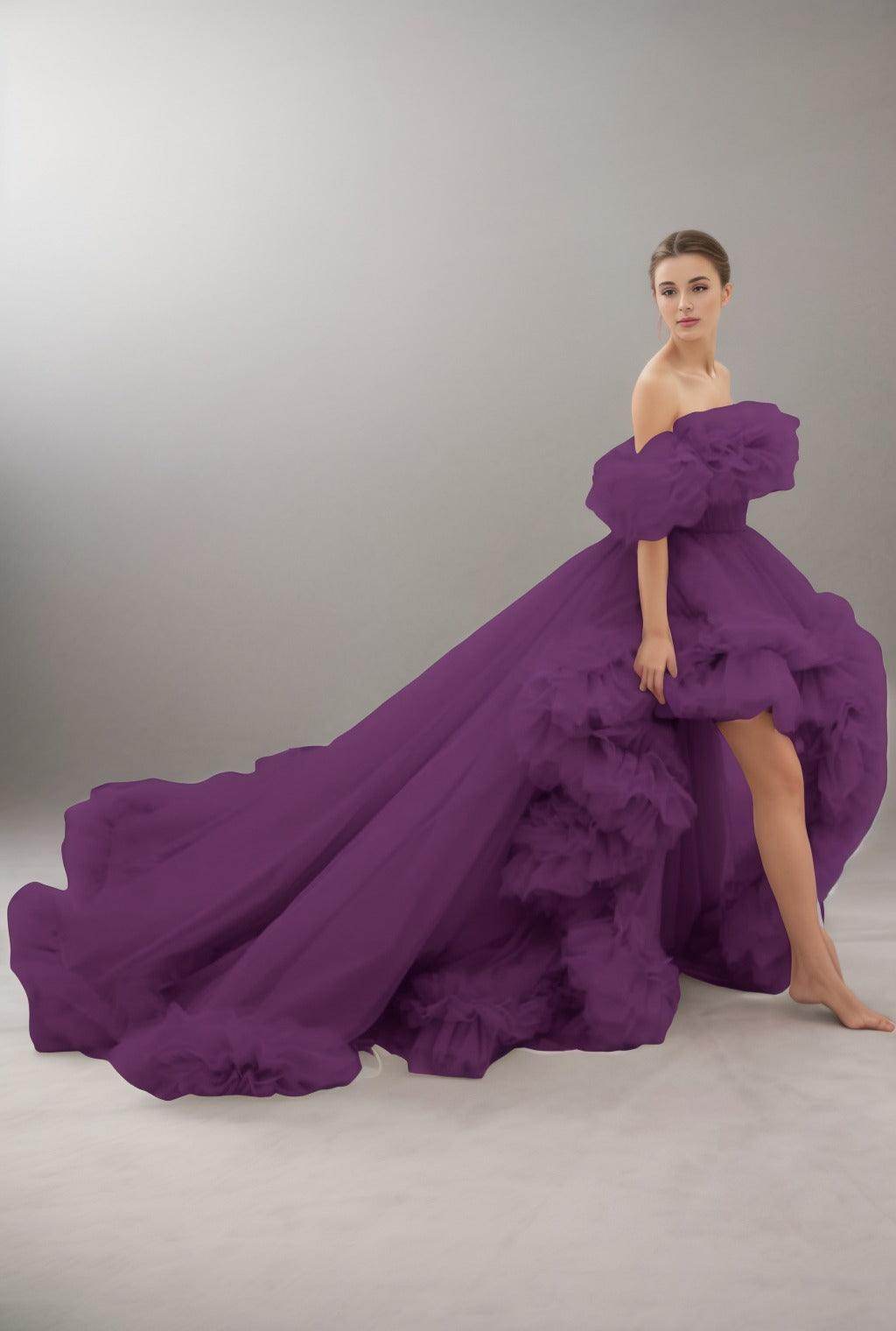 A-Line Court Train Tulle Prom Dress CS0406