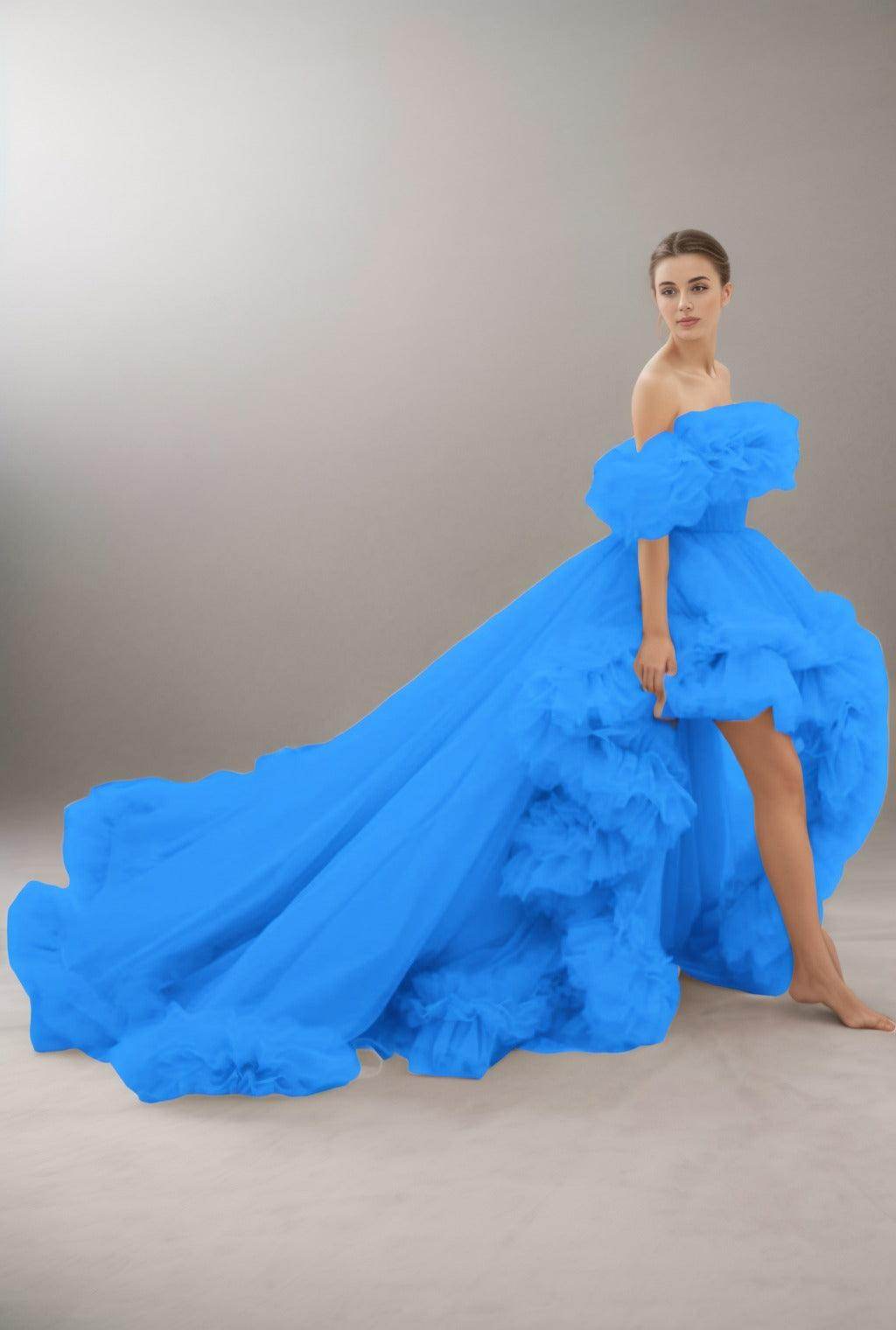 A-Line Court Train Tulle Prom Dress CS0406