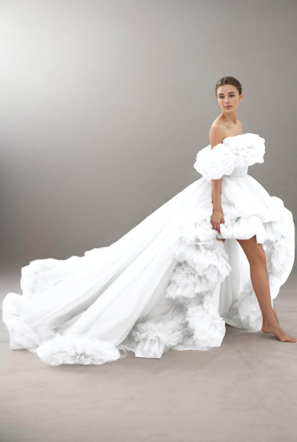 A-Line Court Train Tulle Prom Dress CS0406