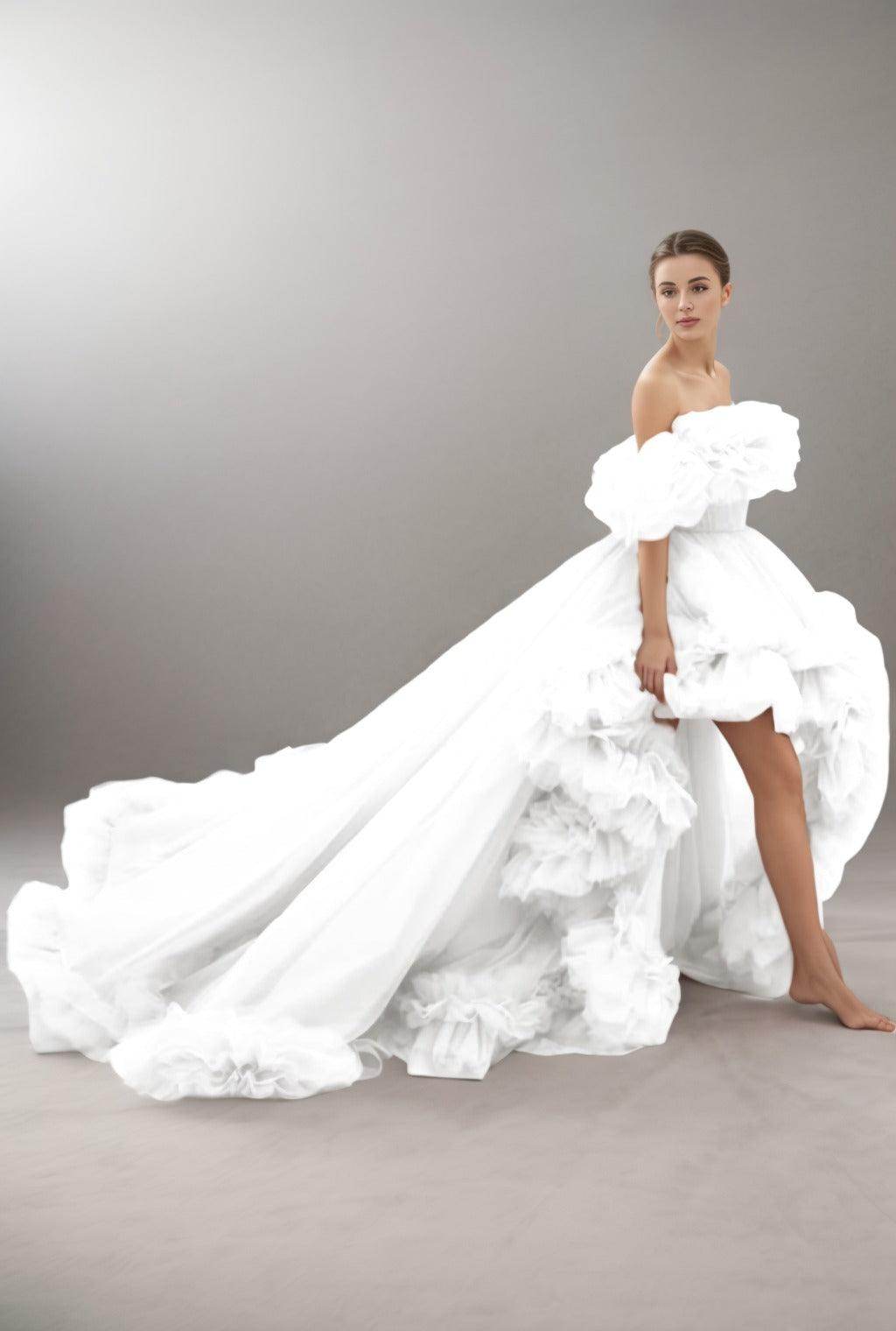 A-Line Court Train Tulle Prom Dress CS0406