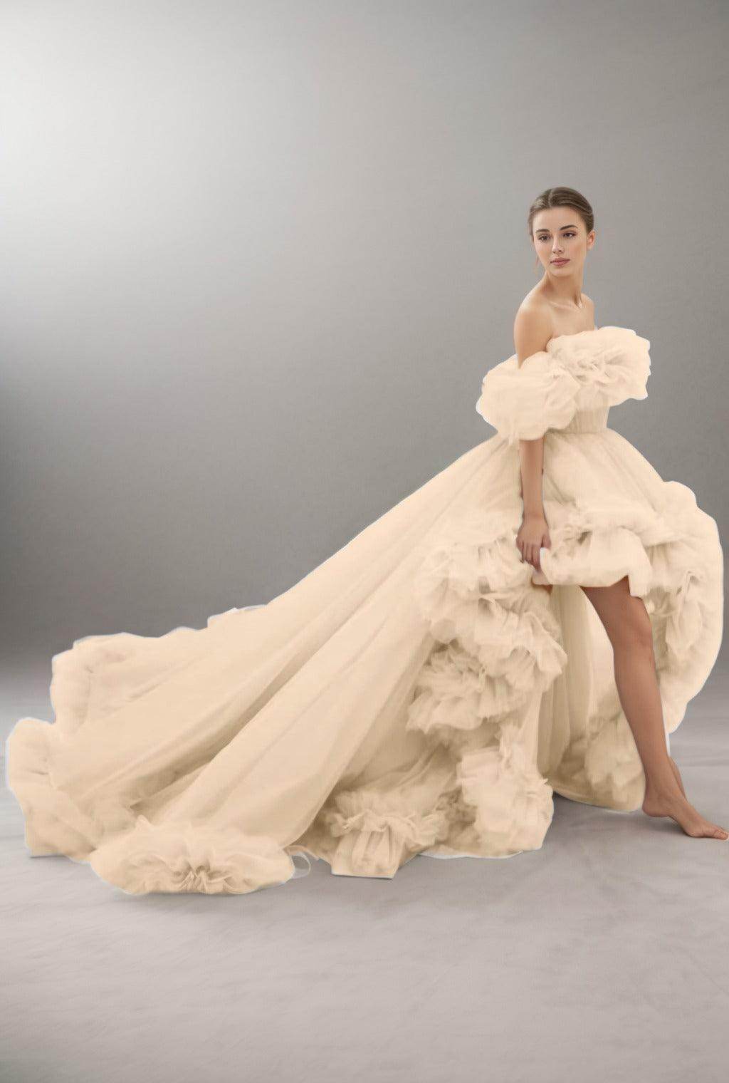A-Line Court Train Tulle Prom Dress CS0406