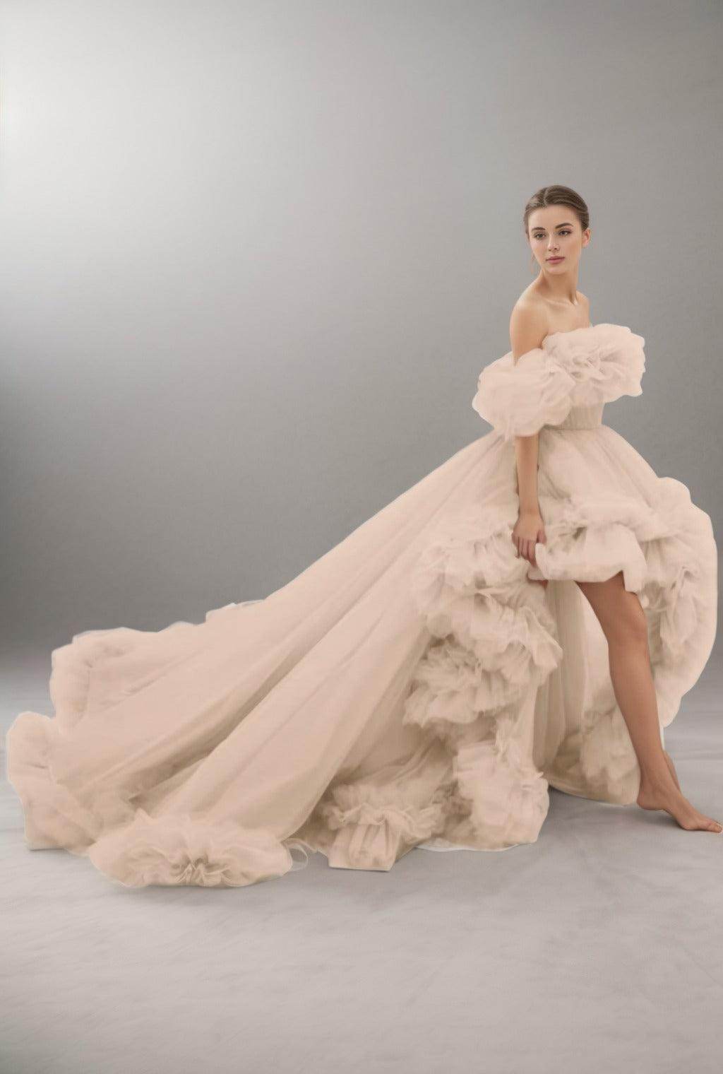 A-Line Court Train Tulle Prom Dress CS0406