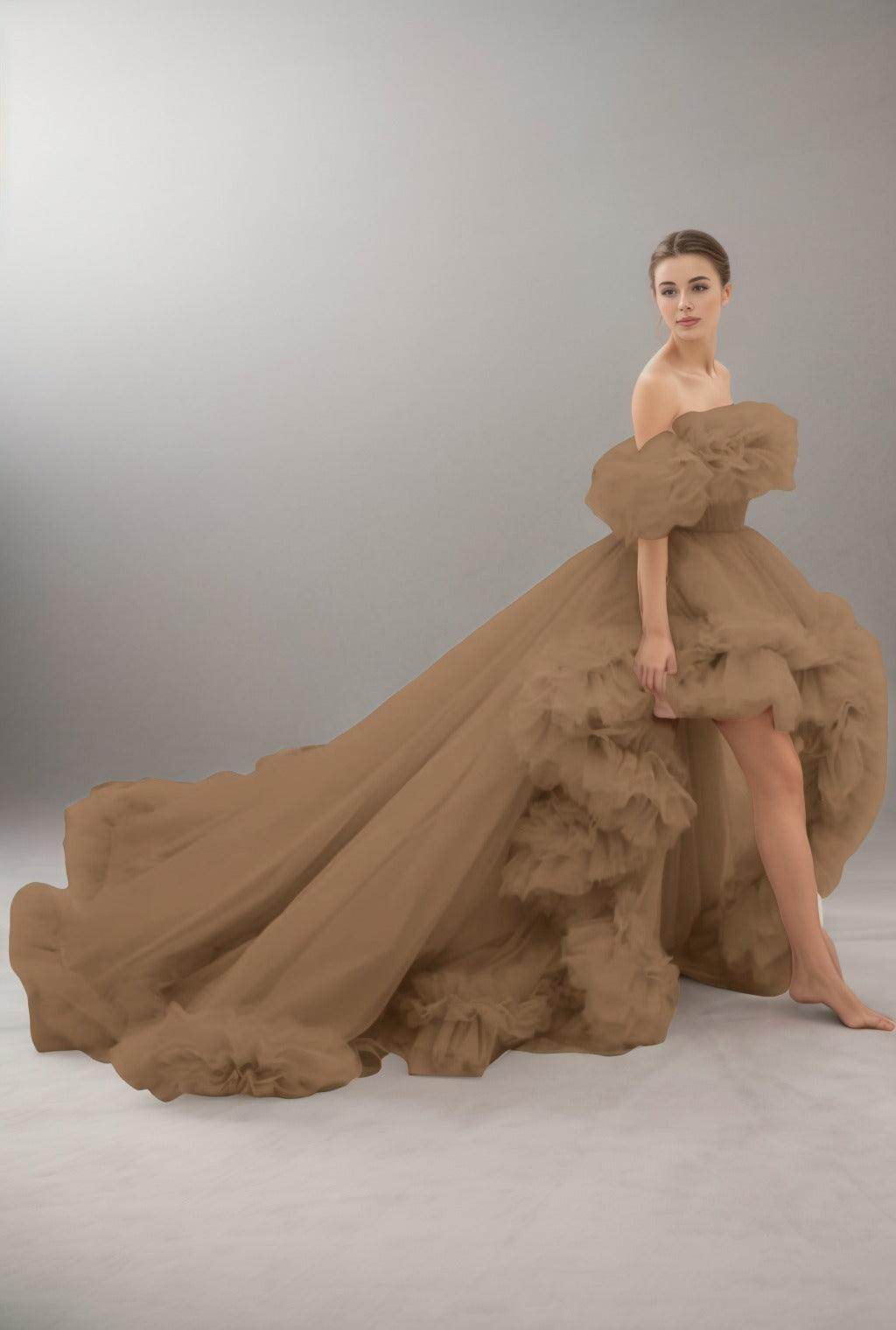 A-Line Court Train Tulle Prom Dress CS0406