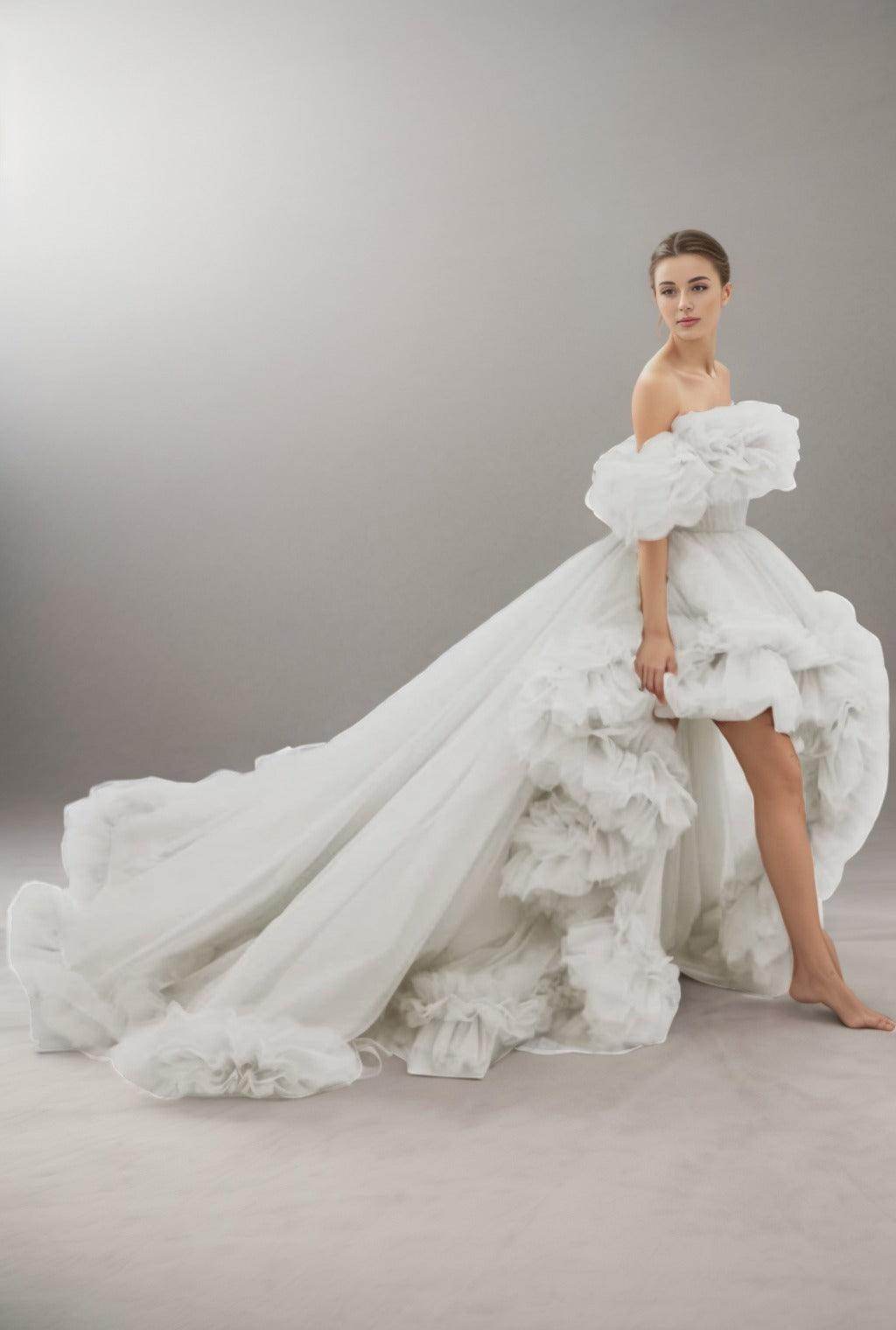 A-Line Court Train Tulle Prom Dress CS0406