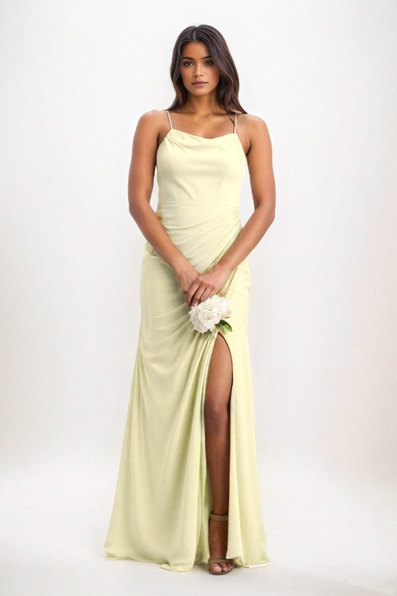 Sheath-Column Maxi Chiffon Bridesmaid Dress CB0827