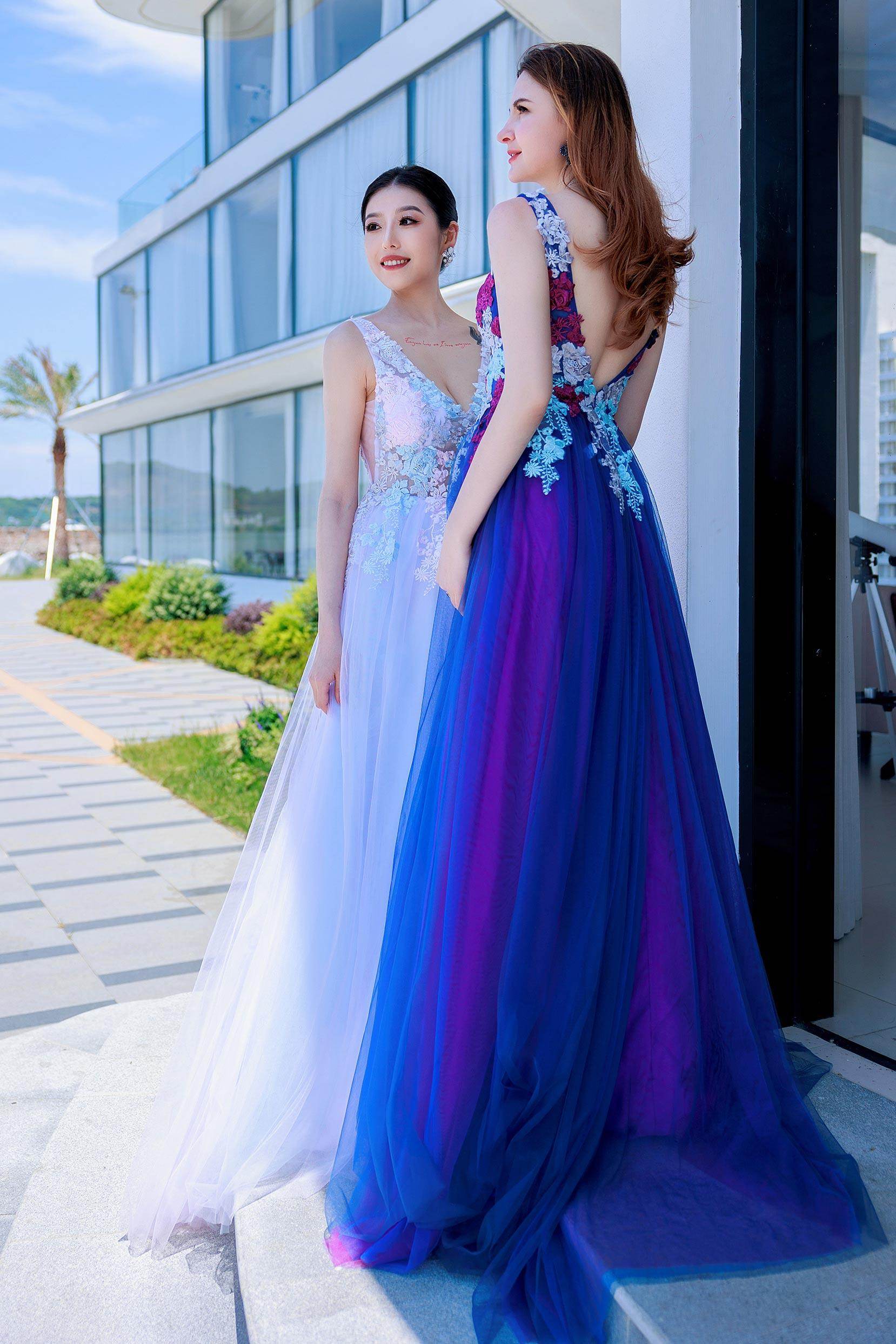 A-Line Sweep-Brush Train Tulle Prom Dress CS0500