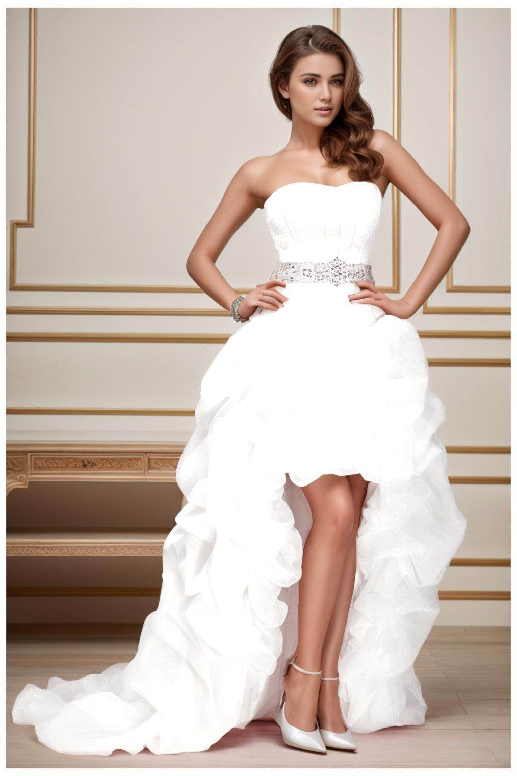Ball Gown High-Low Organza Homecoming Dresses CS0534