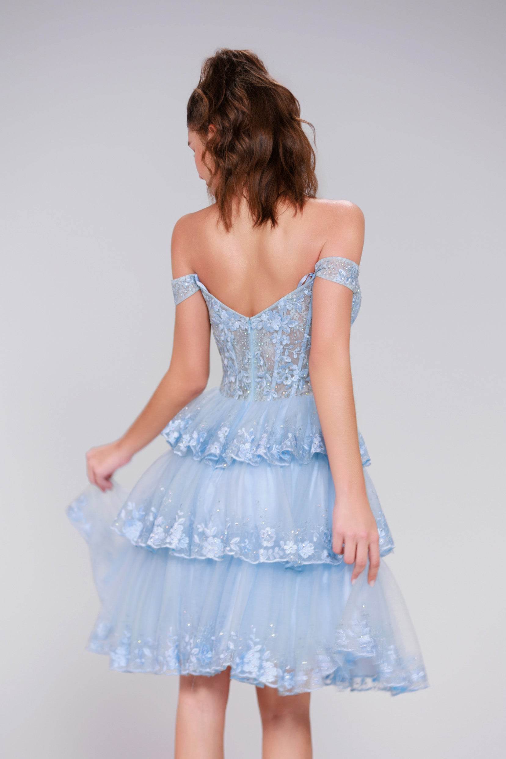 Ball Gown Mini Tulle Homecoming Dress CS0994