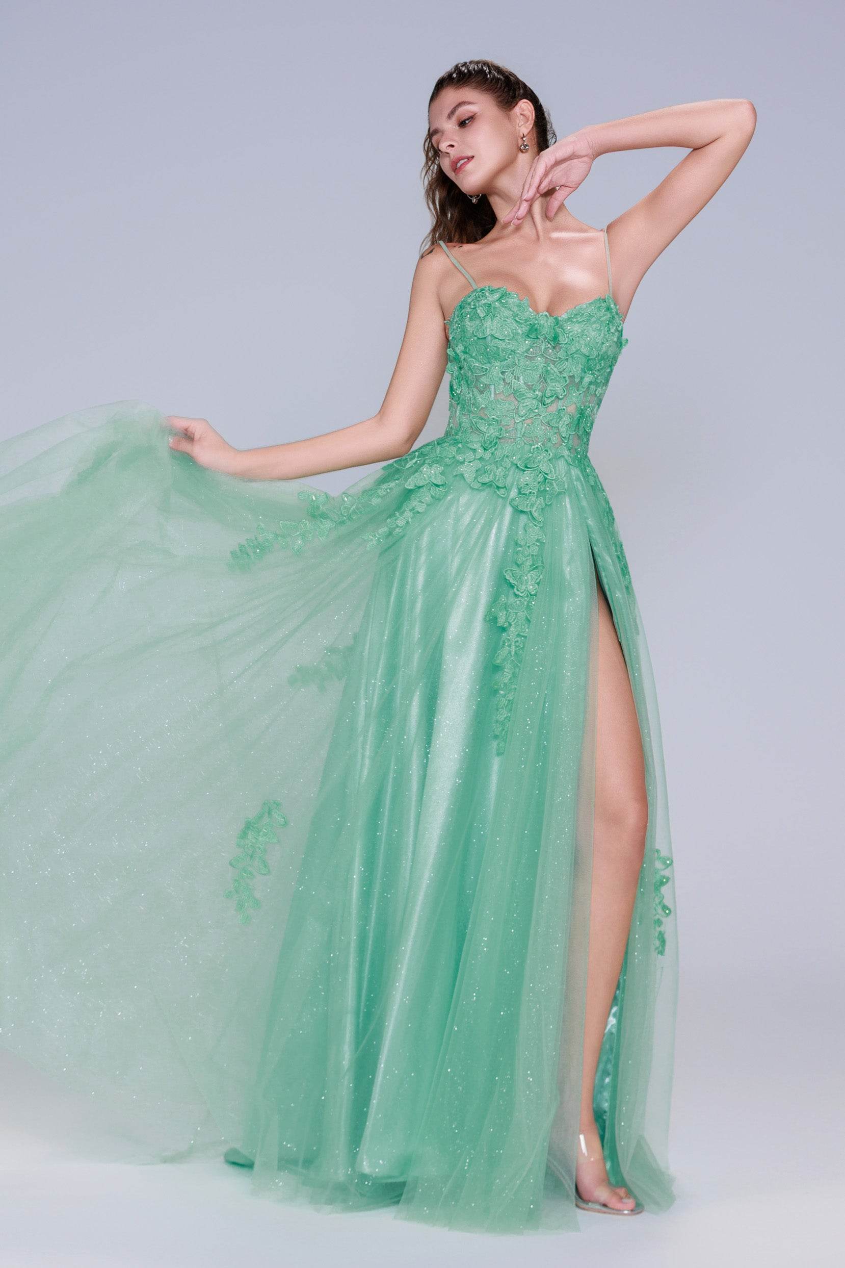 A-Line Maxi Tulle Prom Dress CS1044