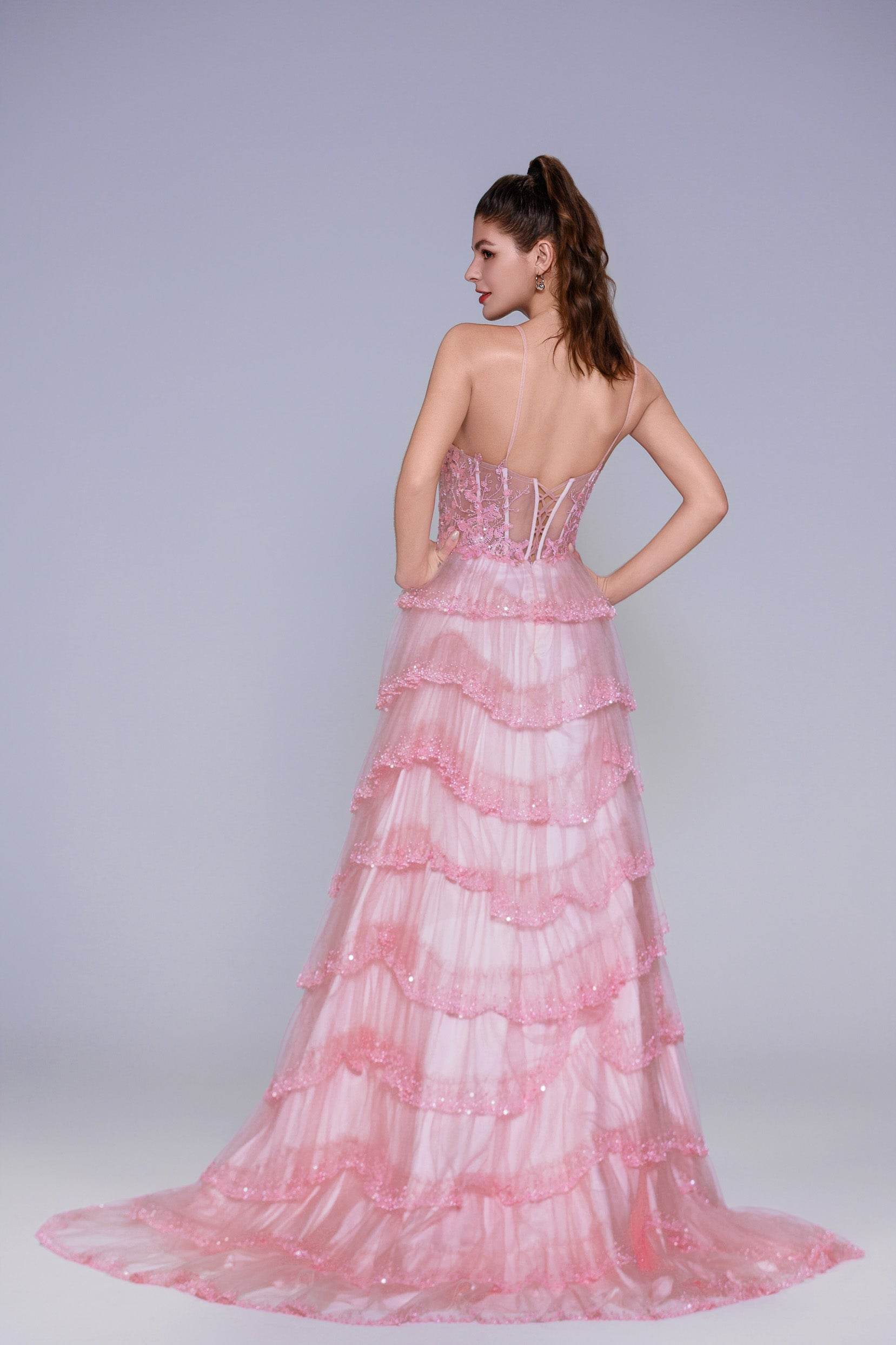 Ball Gown Sweep-Brush Train Tulle Prom Dress CS1048
