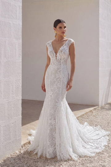 Trumpet-Mermaid Chapel Train Lace Tulle Wedding Dress CW3142
