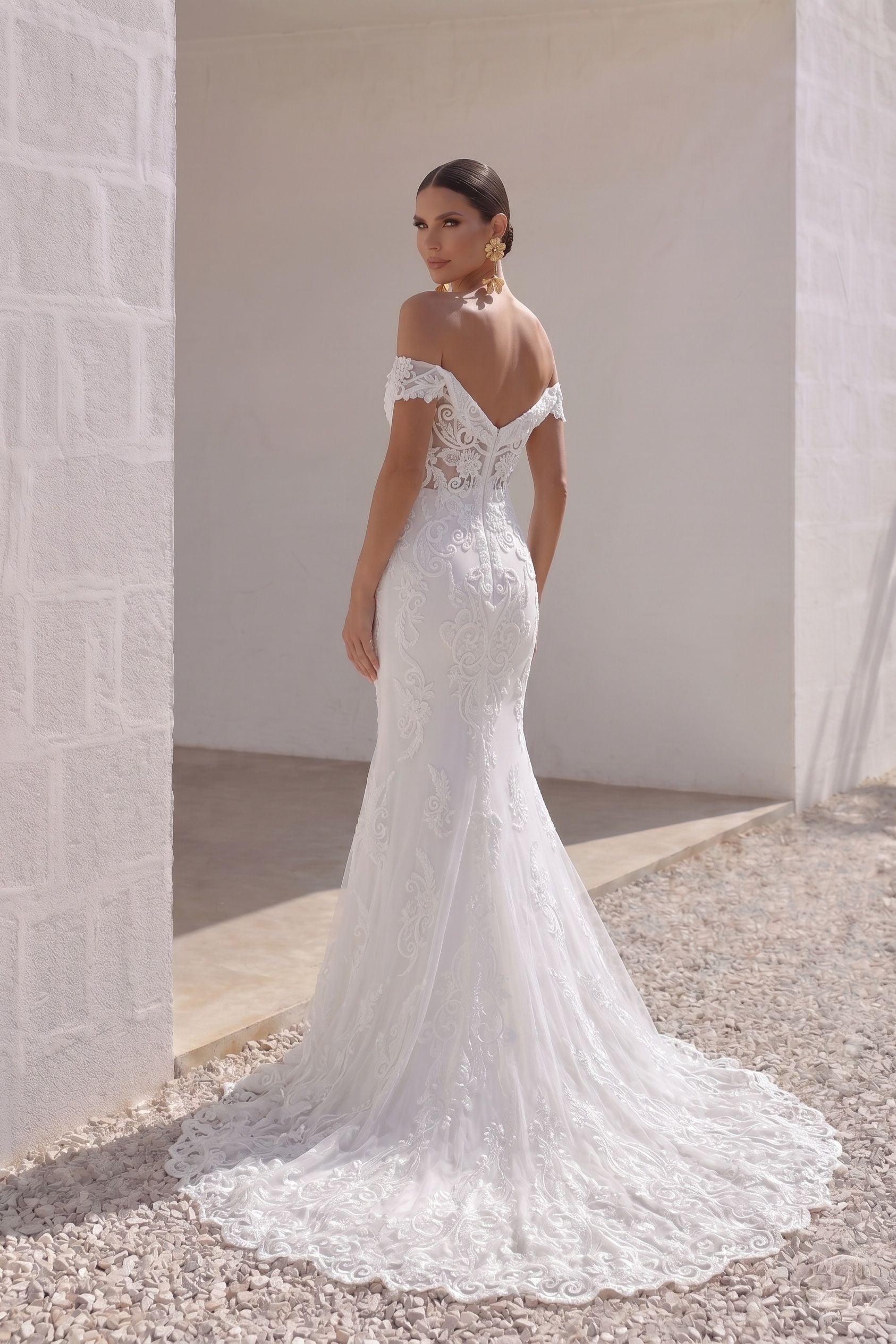 Trumpet-Mermaid Chapel Train Lace Tulle Wedding Dress CW3149