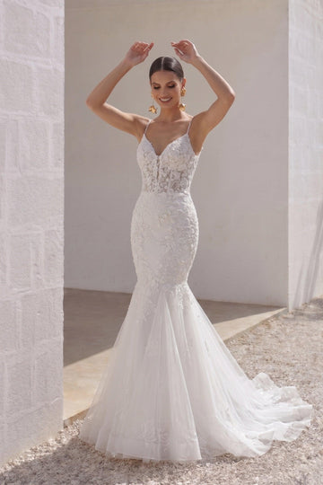 Trumpet-Mermaid Chapel Train Lace Tulle Wedding Dress CW3228
