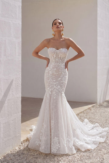 Trumpet-Mermaid Court Train Lace Tulle Wedding Dress CW3275