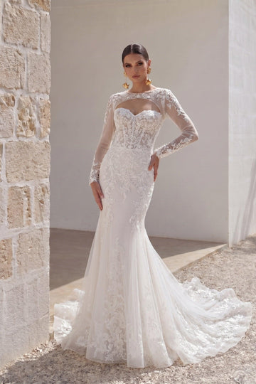 Trumpet-Mermaid Chapel Train Lace Tulle Wedding Dress CW3282