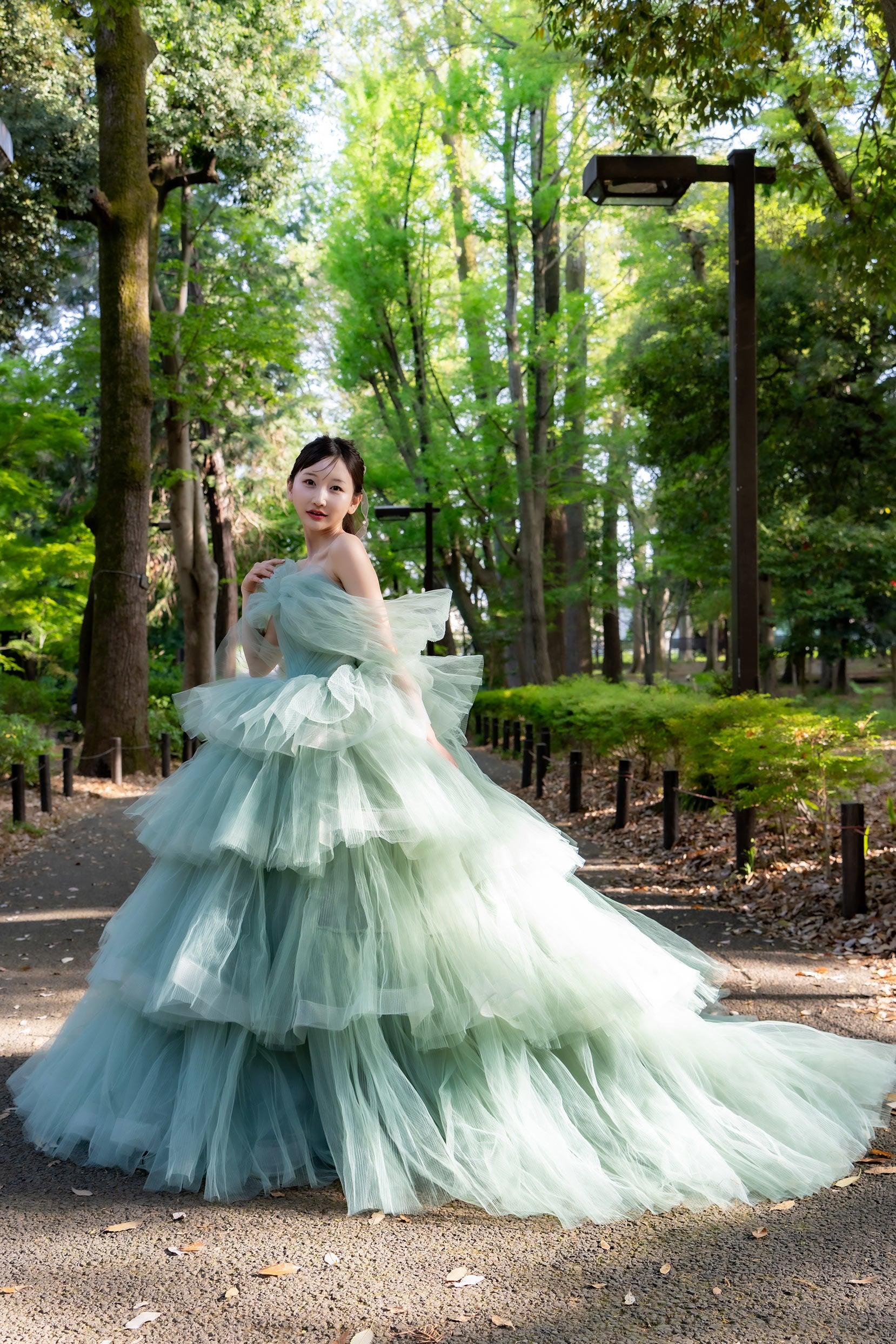 Ball Gown Court Train Tulle Wedding Dress CW3298