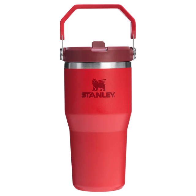 IceFlow 2.0 Flip Straw Tumbler 20 oz