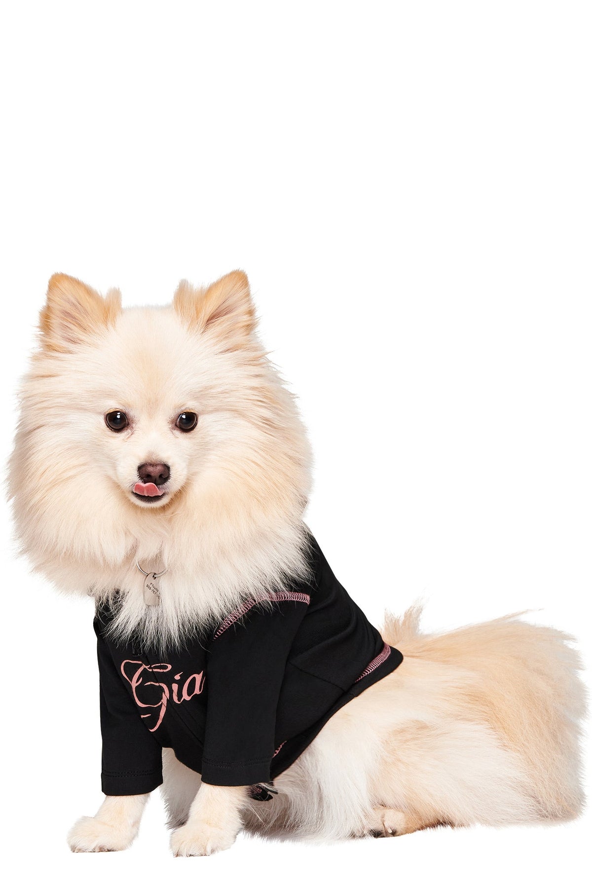 BLARE BEST FRIEND DOG HOODIE - BLACK
