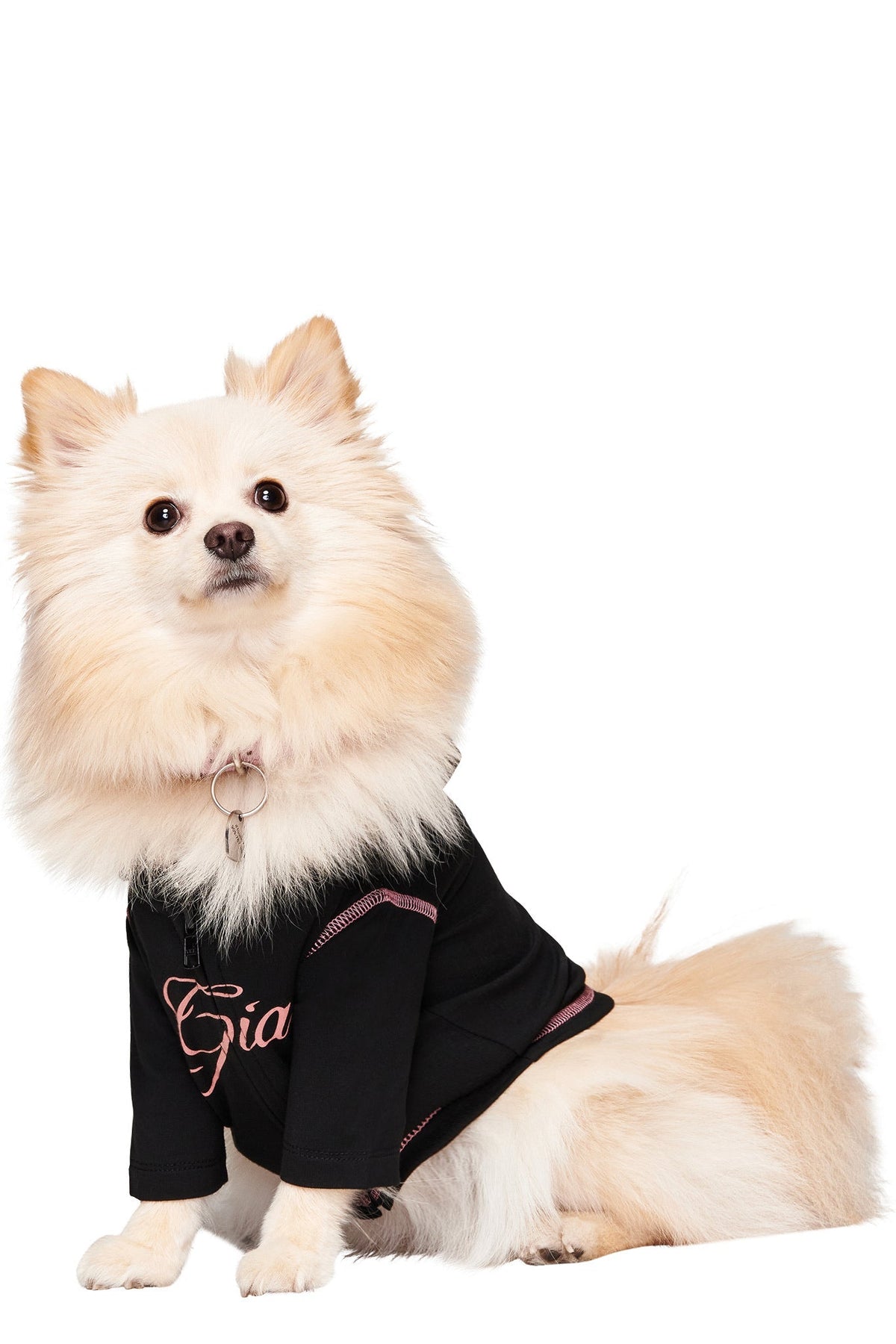 BLARE BEST FRIEND DOG HOODIE - BLACK