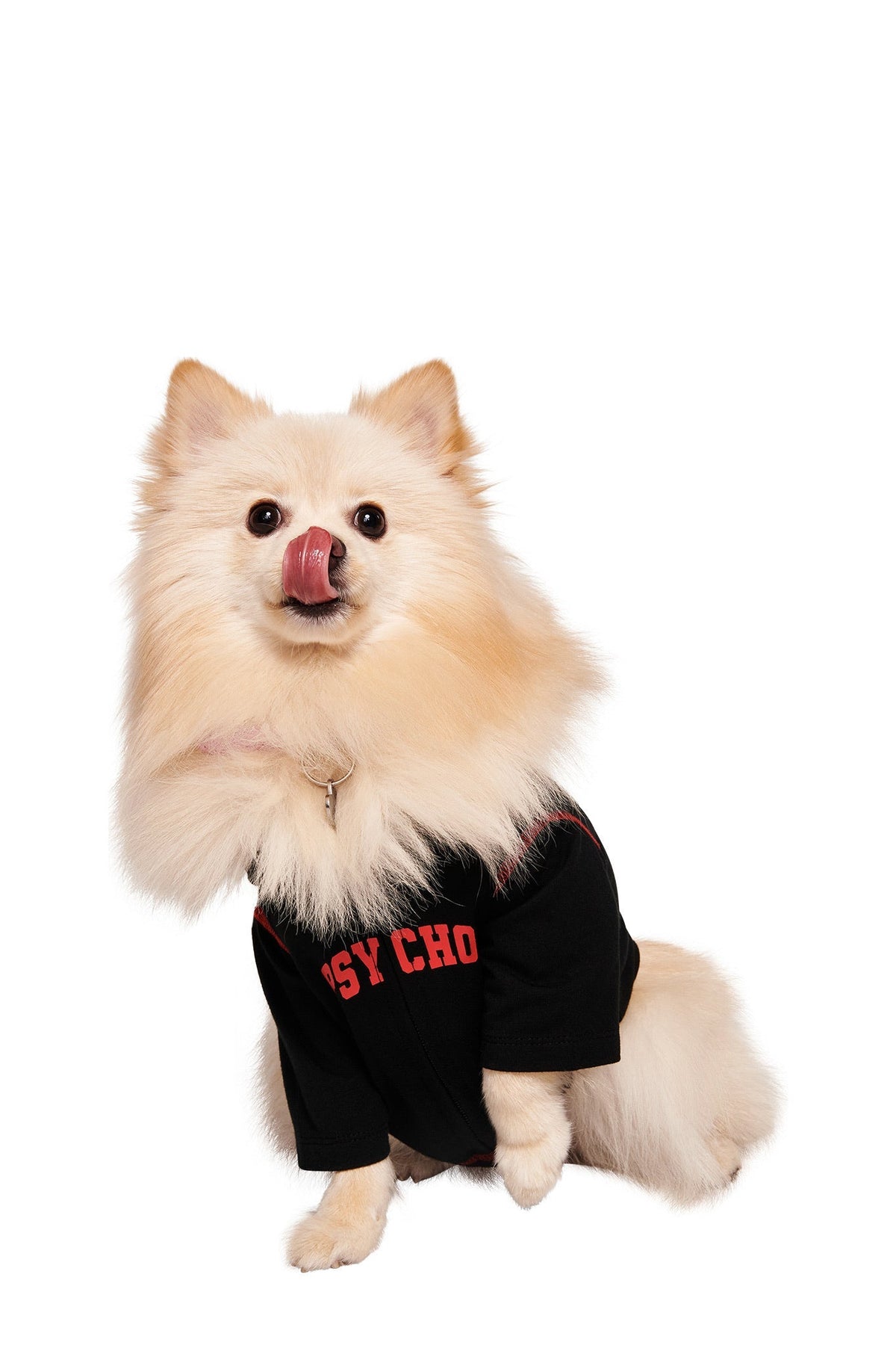 BLARE BEST FRIEND DOG HOODIE - BLACK PSYCHO