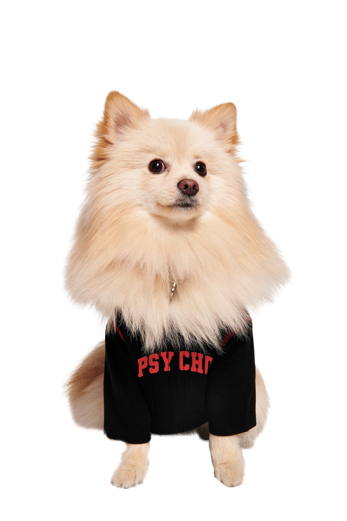 BLARE BEST FRIEND DOG HOODIE - BLACK PSYCHO